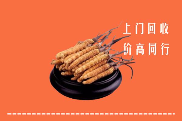 高价求购：建始县回收散虫草