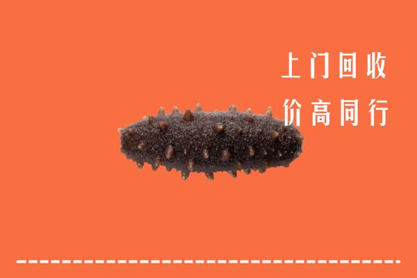 高价求购：建始县回收海参