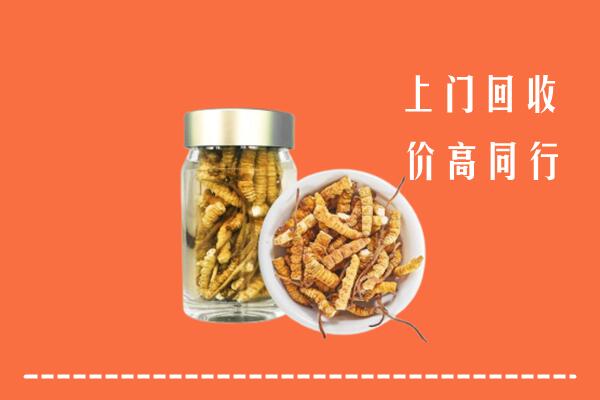 收购行情：建始县回收冬虫夏草